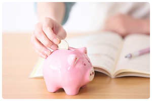 Budget Newsletter